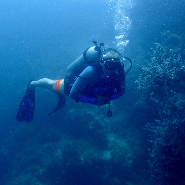 palier de sécurité